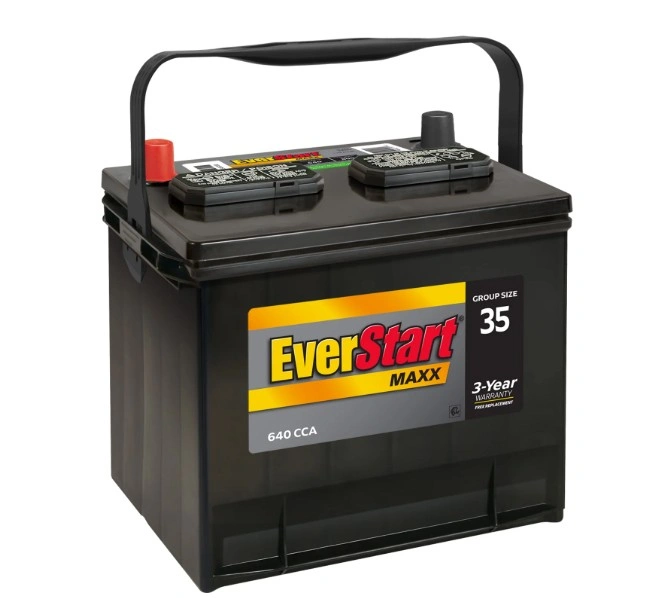 maxx everstart 12 volt battery